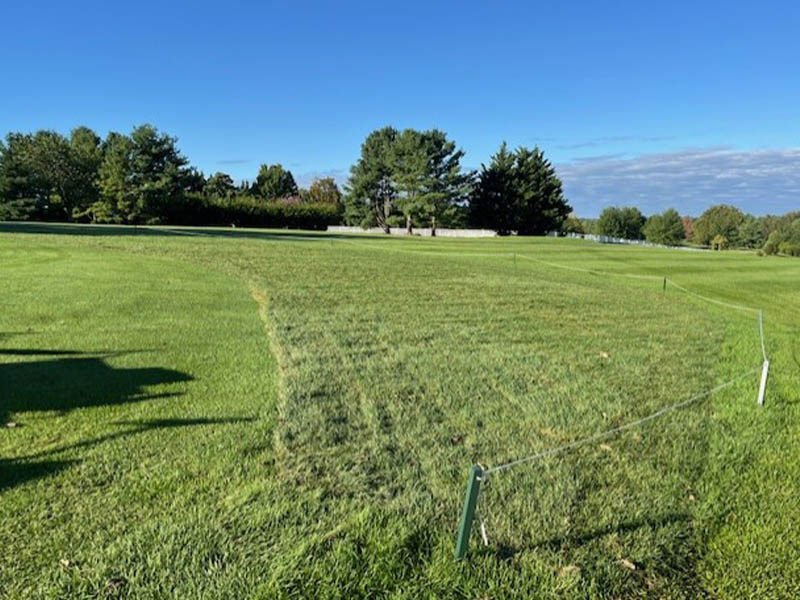 1 beginning of fairway resod