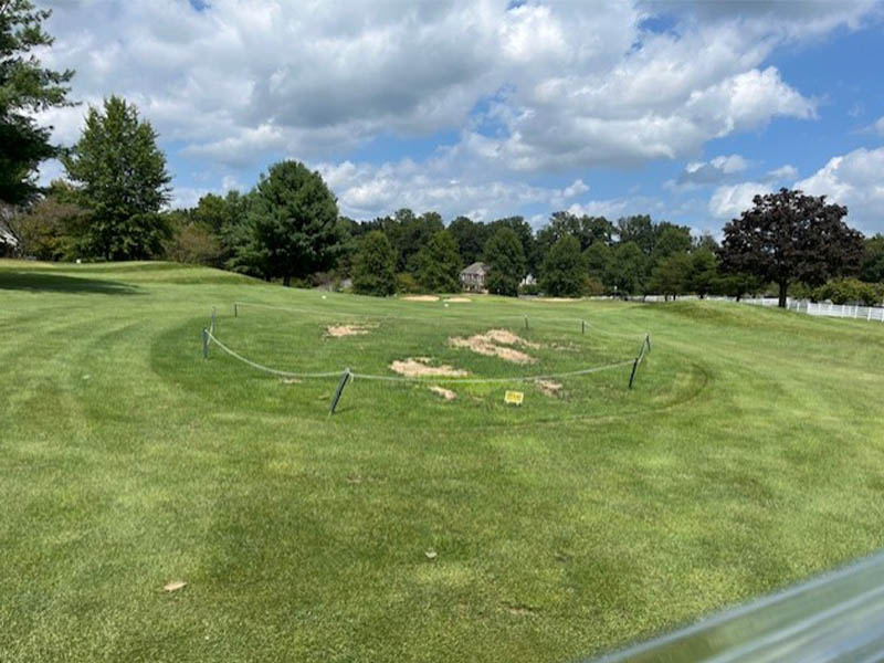 1 fairway before #2