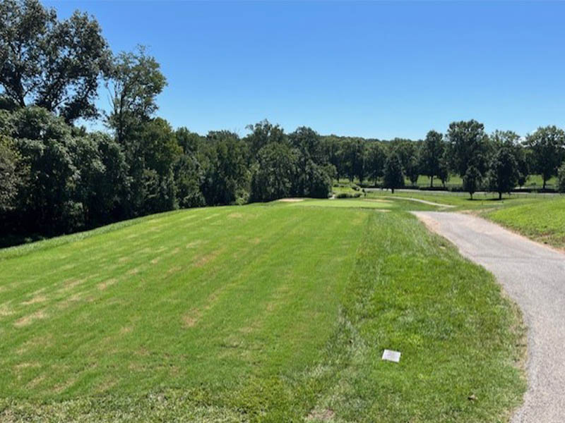 #5 tee after