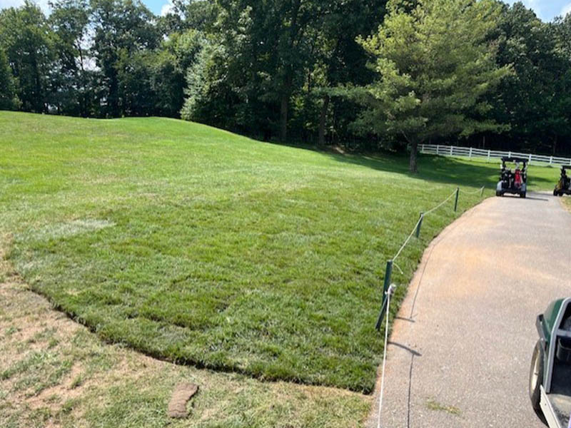#7 cart path edge repair by green