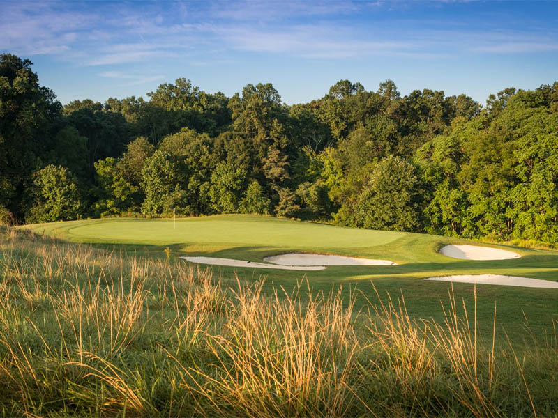 The Links at Challedon green