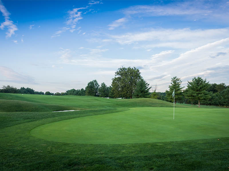 The Links at Challedon greens
