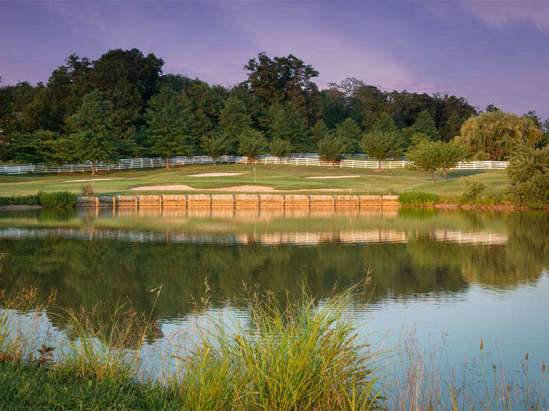 lc-site-2 (18)